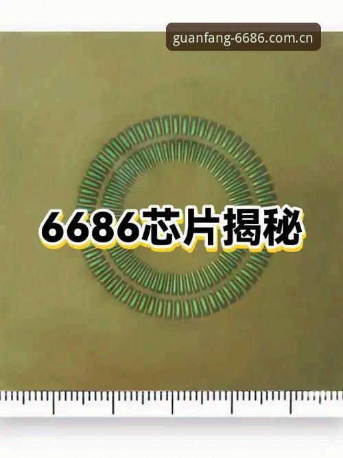 为什么选择6686官方版支持能让你少走弯路？