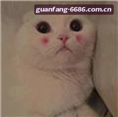 赵鹏
